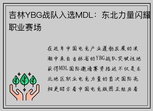 吉林YBG战队入选MDL：东北力量闪耀职业赛场